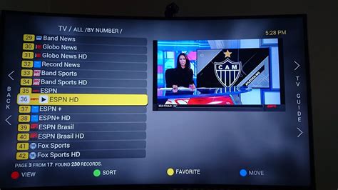 Woman working on her computer